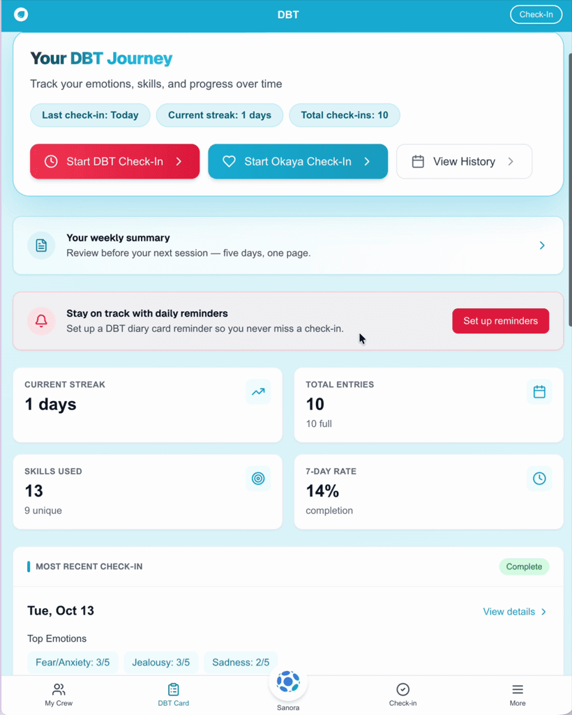 The client's diary card dashboard with streak, entries and skills used, sample data